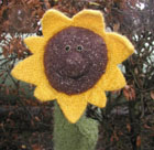 Sonnenblume