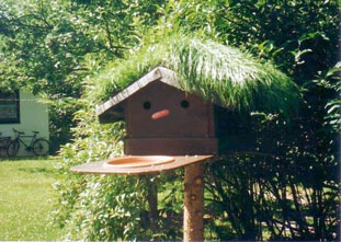 Vogelfutterhaus mit Swimmingpool und Dachgarten