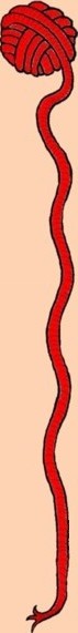 roter Wollfaden